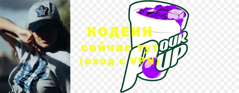 где можно купить   Северодвинск  Кодеин Purple Drank 